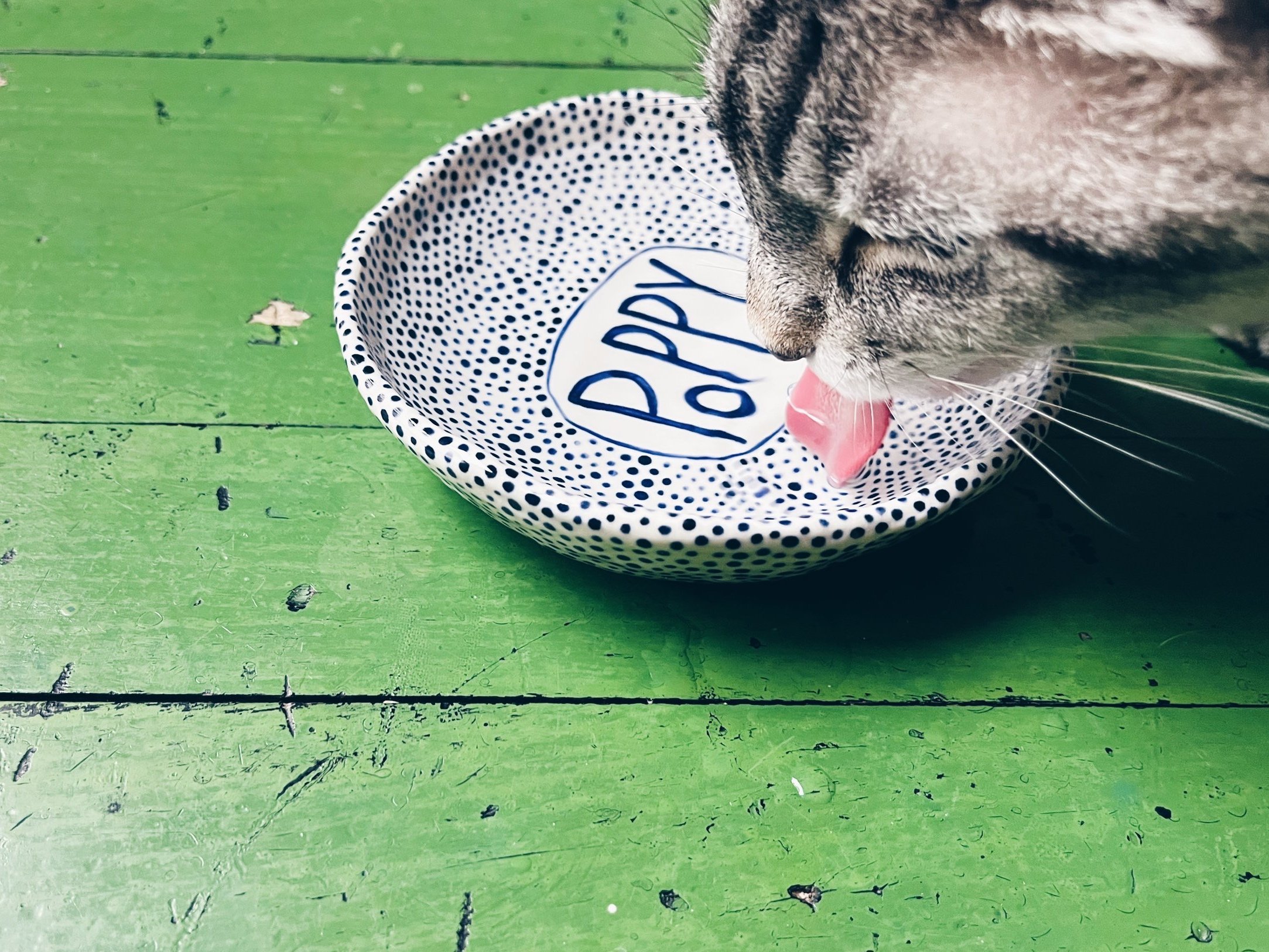 cmb_bowls_1_18.jpg