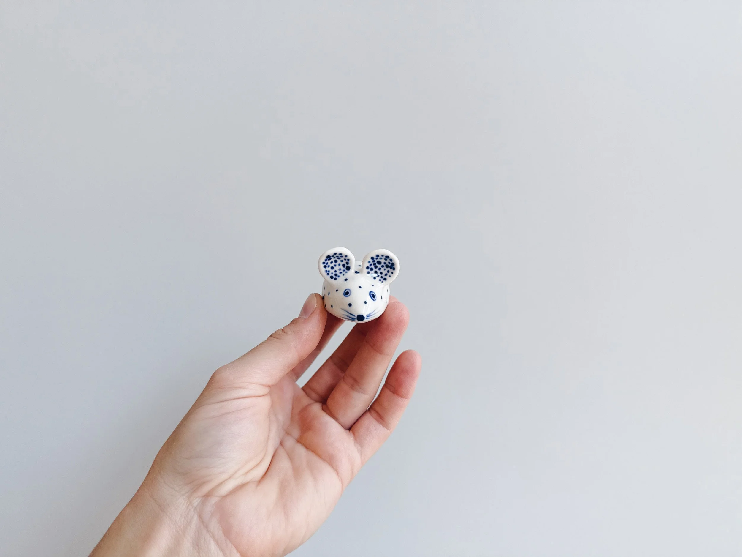 cmb_mouse_1_2.jpg
