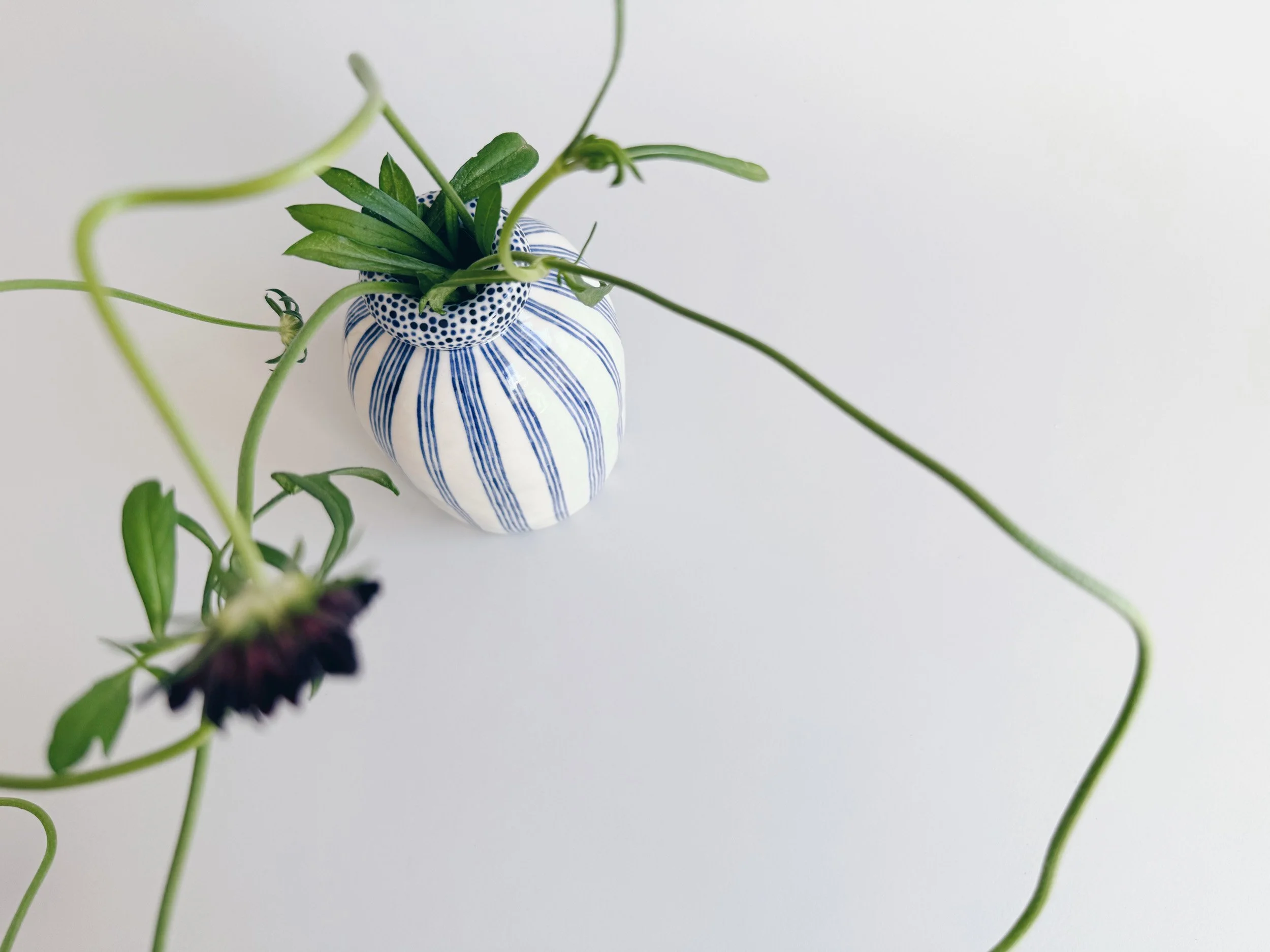 cmb_vase_5_6.jpg