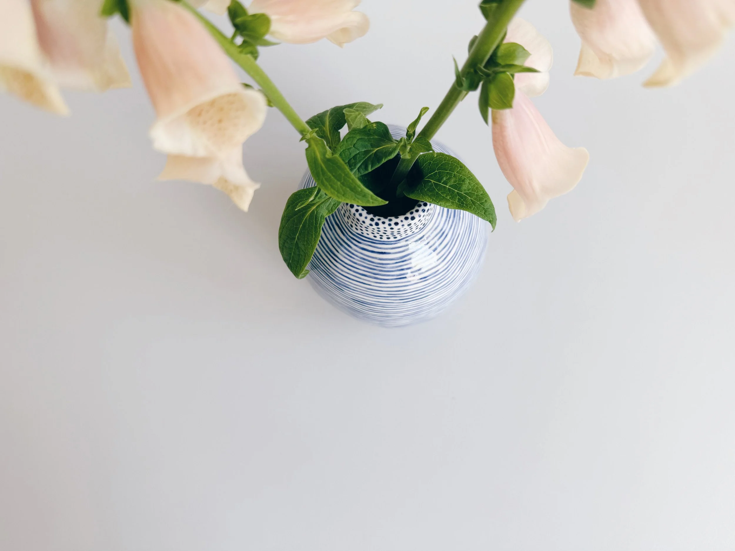 cmb_vase_4_4.jpg