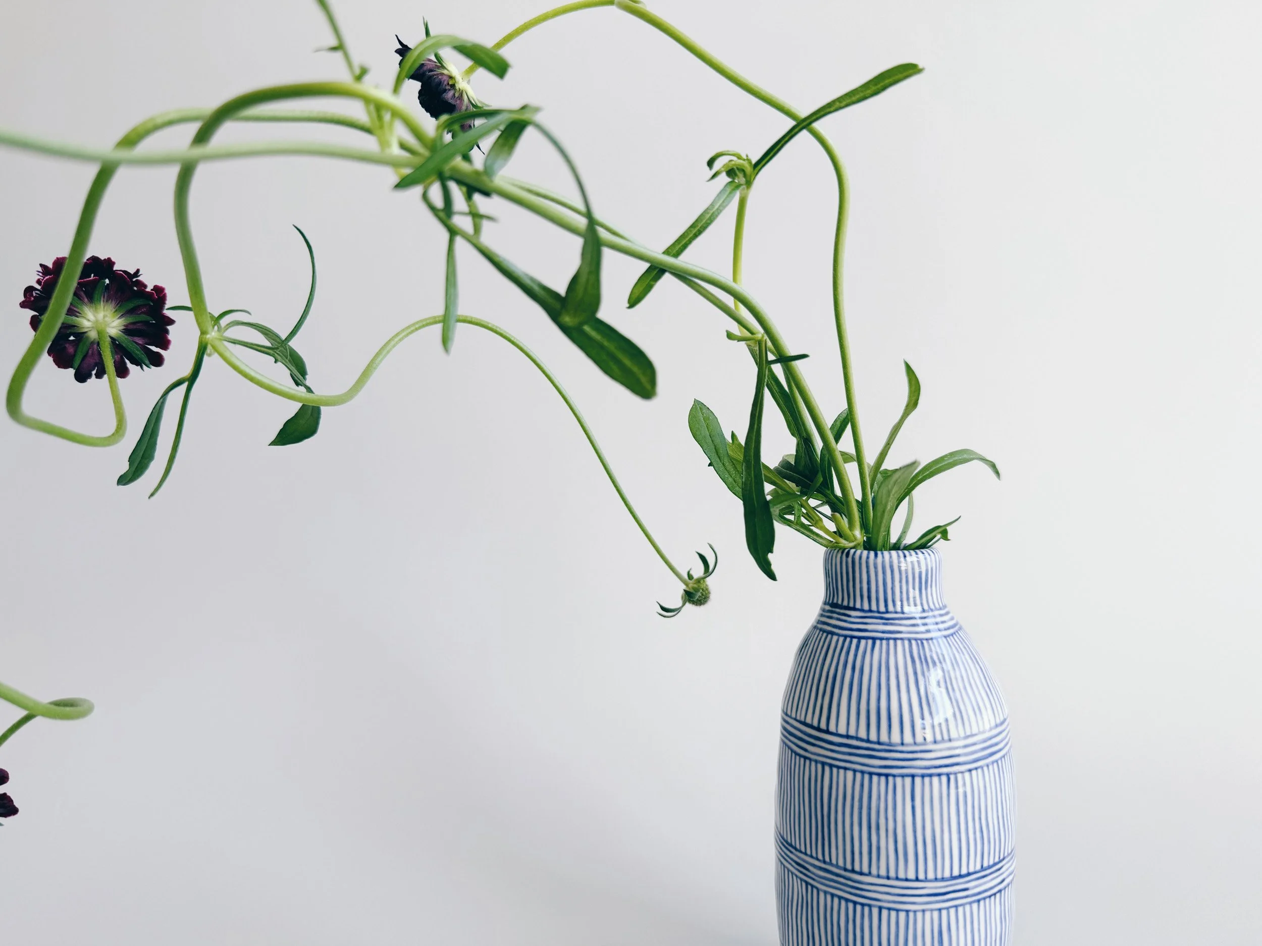cmb_vase_6_6.jpg