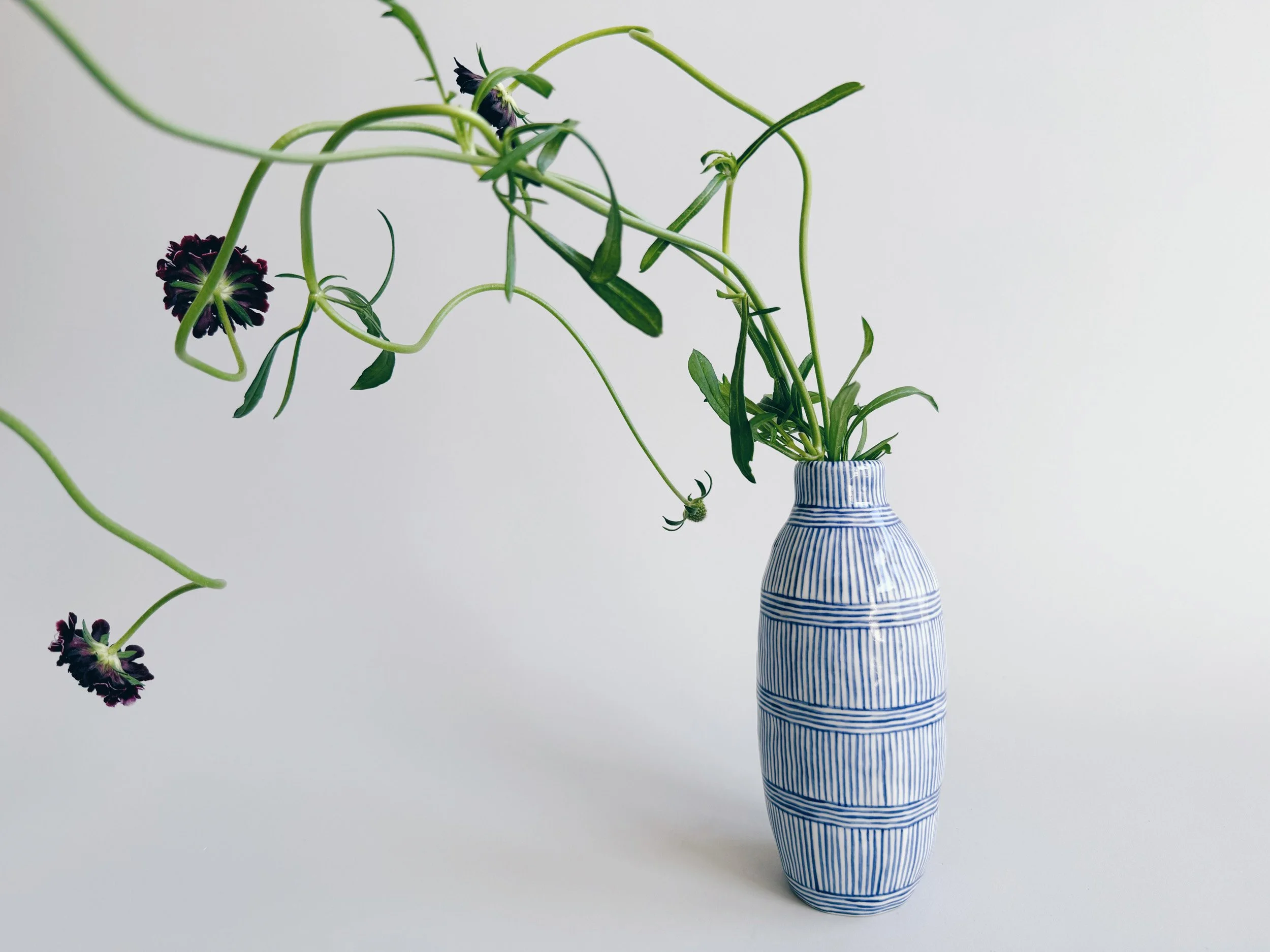 cmb_vase_6_5.jpg