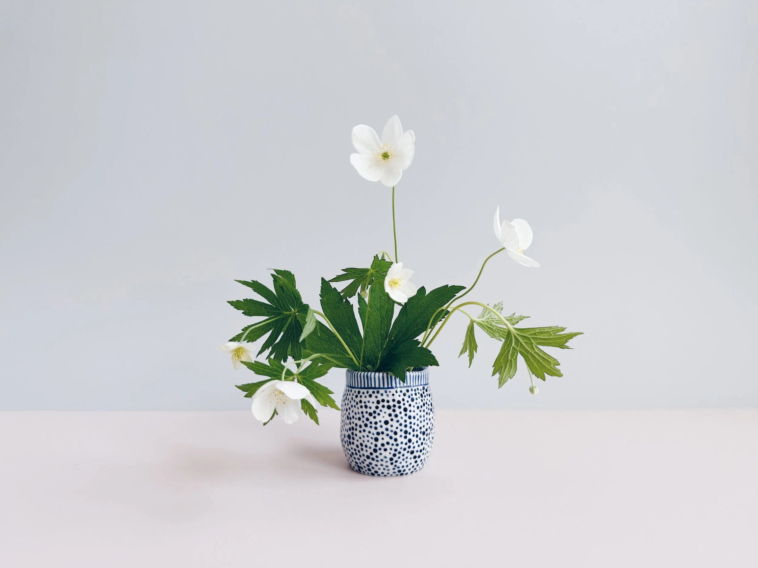 cmb_vase_1_1.jpg