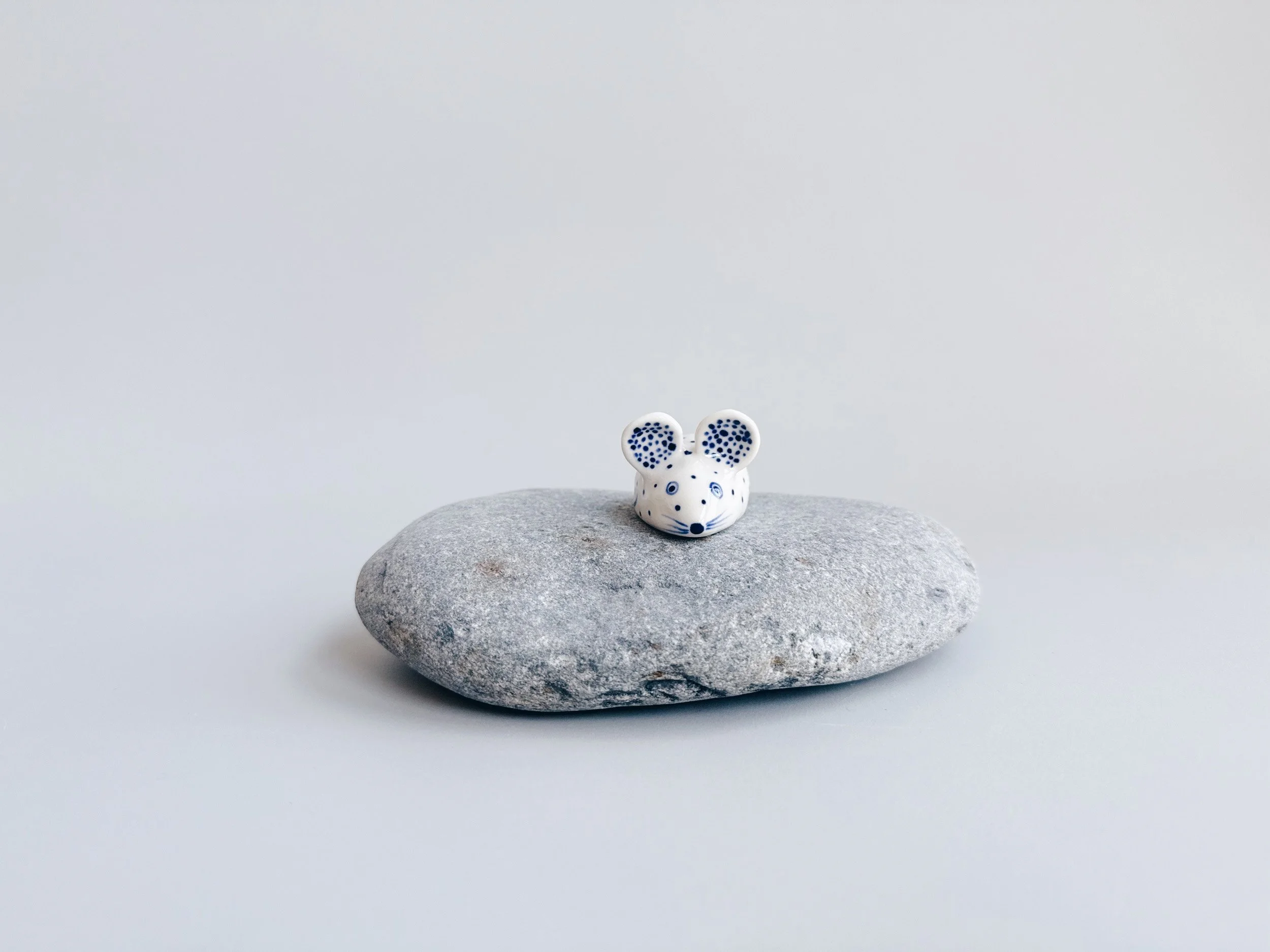 cmb_mouse_1_1.jpg