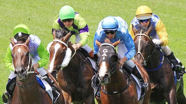 Late surge: Woodbine gave punters a scare on Saturday. Photo: Jenny Evans