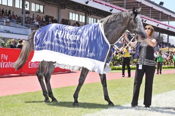 Instinction - winner of the Listed Hilton Hotel Stakes (1400m)