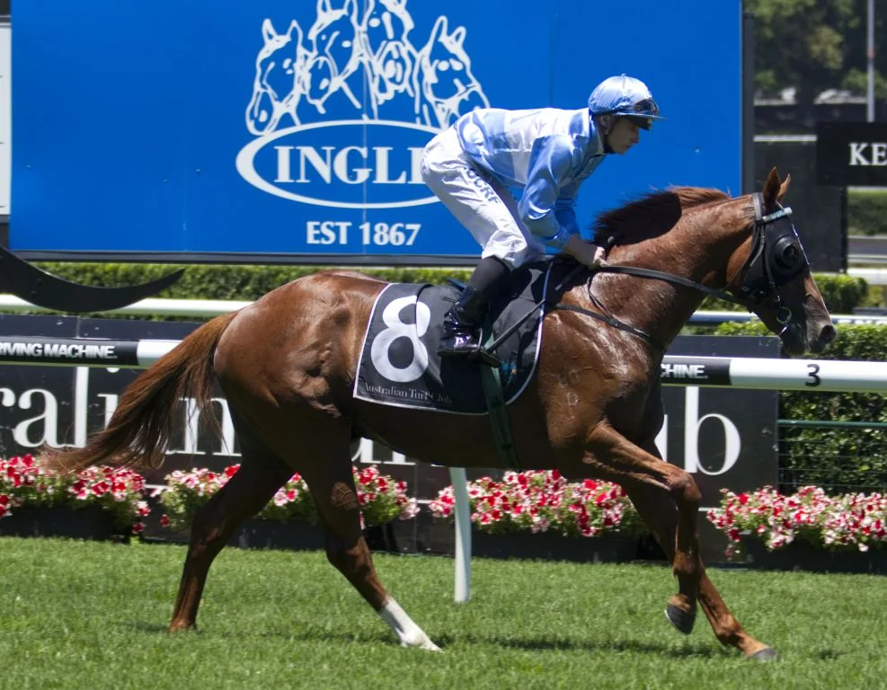  Woodbine, 3yo c (Hussonet x Miss Finland, by Redoute's Choice) - secured by Blue Sky Bloodstock