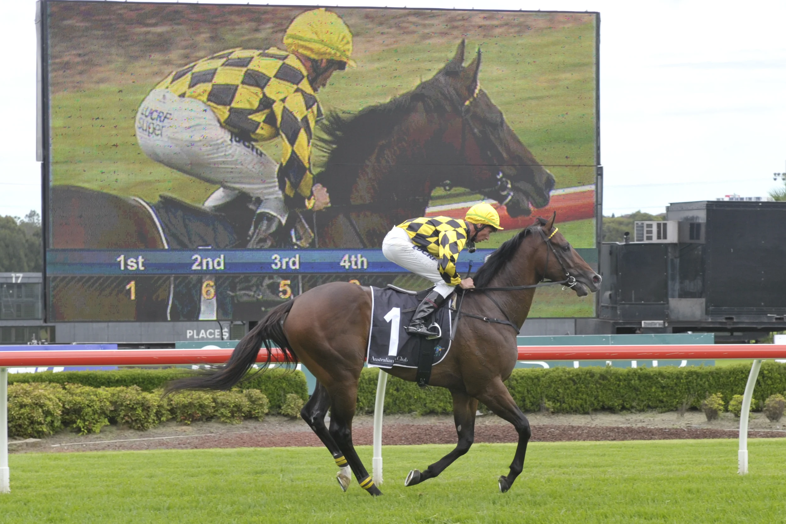 Havana returns to scale after dominant 4 length win at Canterbury on February 12 for Paul Messara & Nash Rawillar
