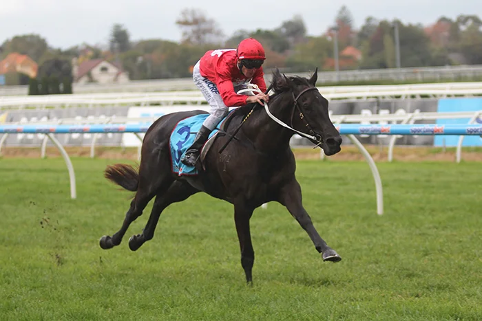 Pressing will head to Brisbane and be aimed at the Group One J. J. Atkins (1600m) on June 7. Picture by Turfpress