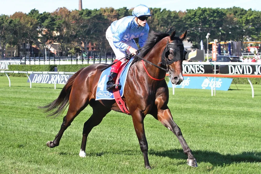 Starcraft gelding Havana contests the Group Three Fred Best Classic over 1350m at Doomben