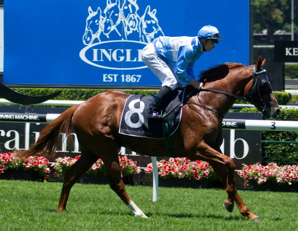 Inglis Easter graduate Woodbine heads to Scone on Saturday for the Inglis 3YO Guineas (1400m).