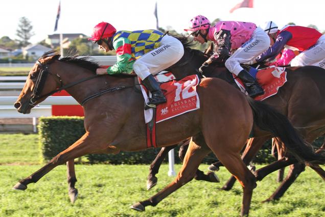 Stakes winner Doubtfilly heads to Melbourne for her first run for the Danny O'Brien stable.