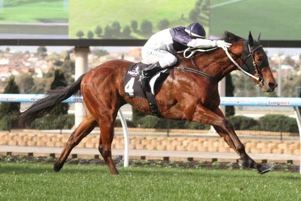 3yo Wilander colt Nordic Empire wins first up after 8 months away from the track.