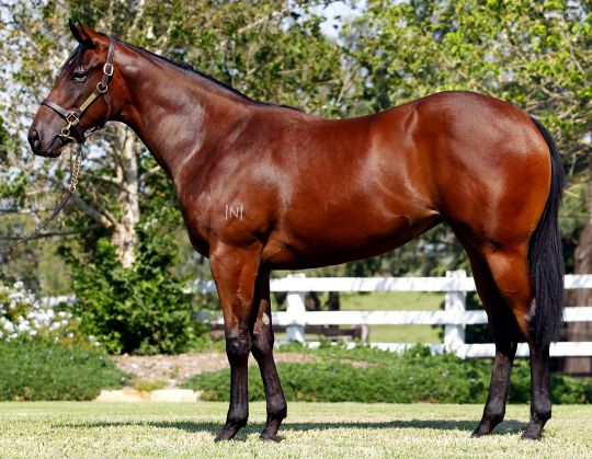 Newgate Farm sold Fastnet Rock filly Santa Rocks, successful in her recent barrier trial at Rosehill