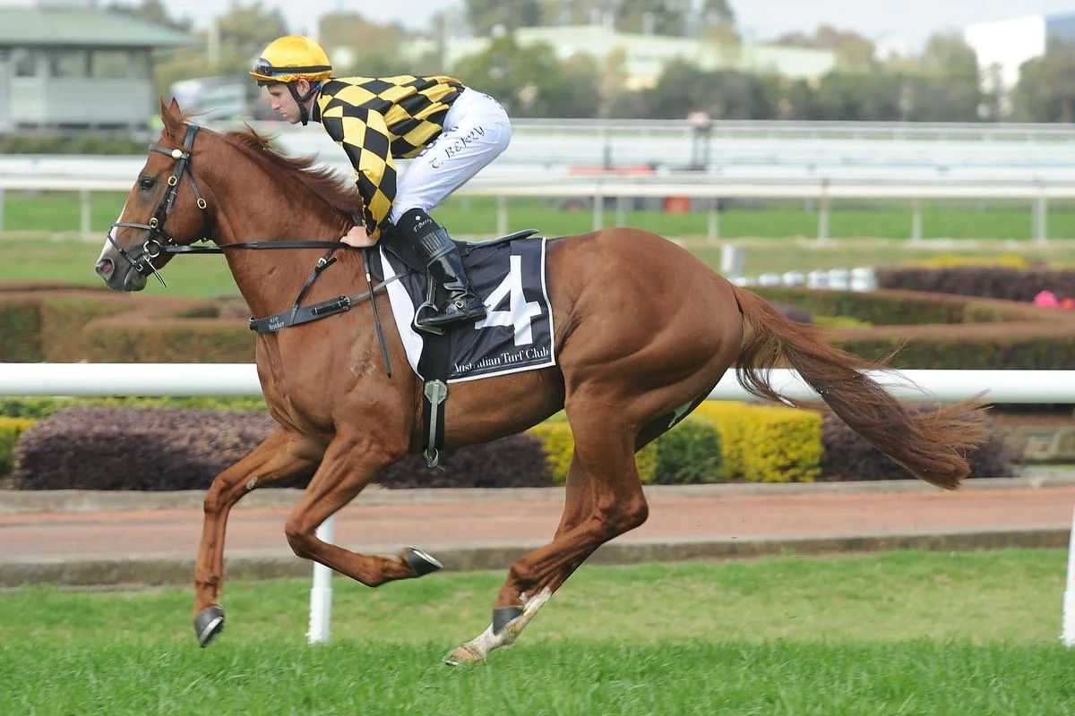 Hussonet colt WOODBINE heads to Saturday Group One The Star Epsom with only 52kg's for trainer Gai Waterhouse.