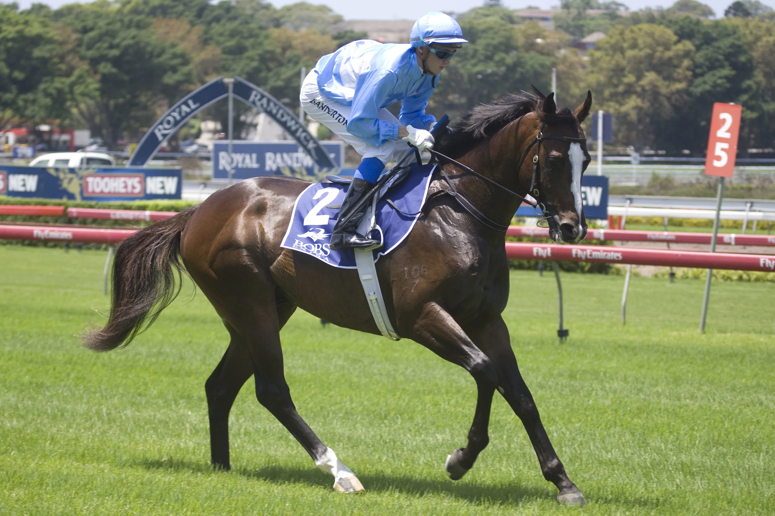 Beneteau (Redoute's Choice x Slice Of Paradise) after his debut win