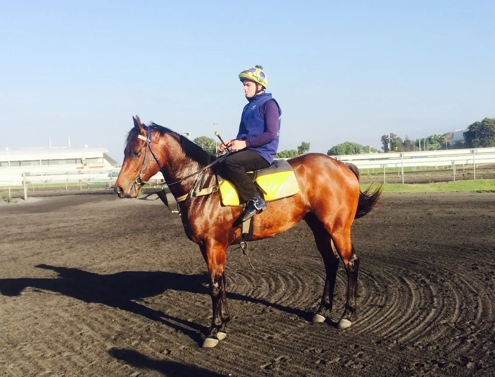 Lightning Rock (Fastent Rock) pictured at trackwork recently.