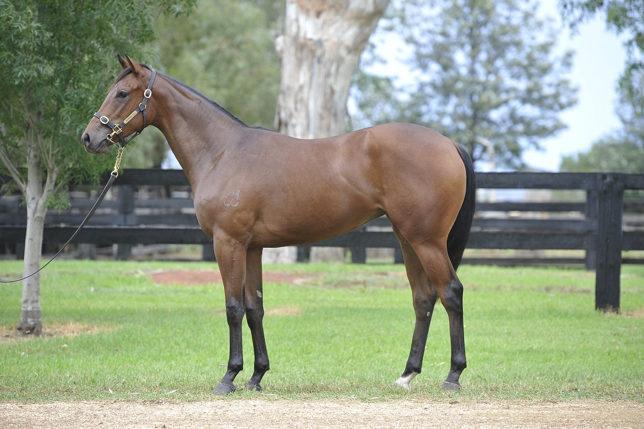 Lot 117 yearling with Gai.JPG