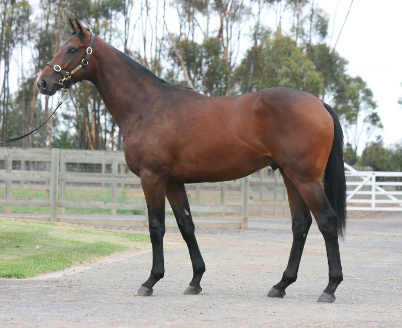 Lot 227 yearling with Gai.JPG