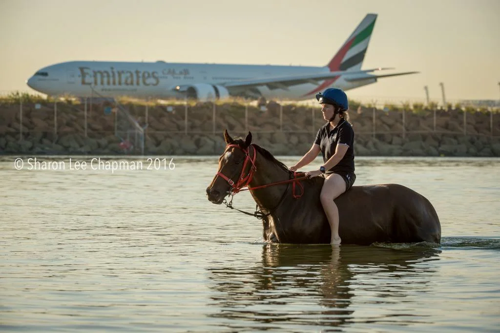 Prompt Response (Beneteau), pictured at Botany Bay recently. Picture: Sharon Lee Chapman