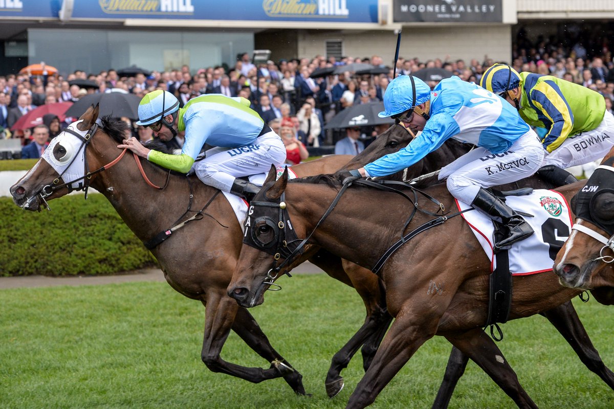 Prompt Response (black blinkers) finishing a good second to Sweet Sherry at Listed level.