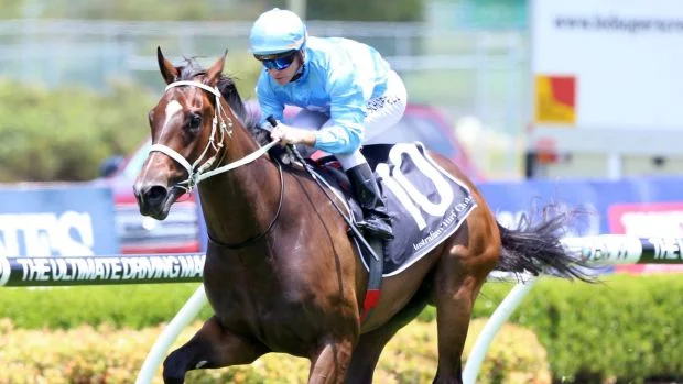 From Within (Not A Single Doubt), a $360,000 purchase from the Magic Millions draft of Yarraman Park
