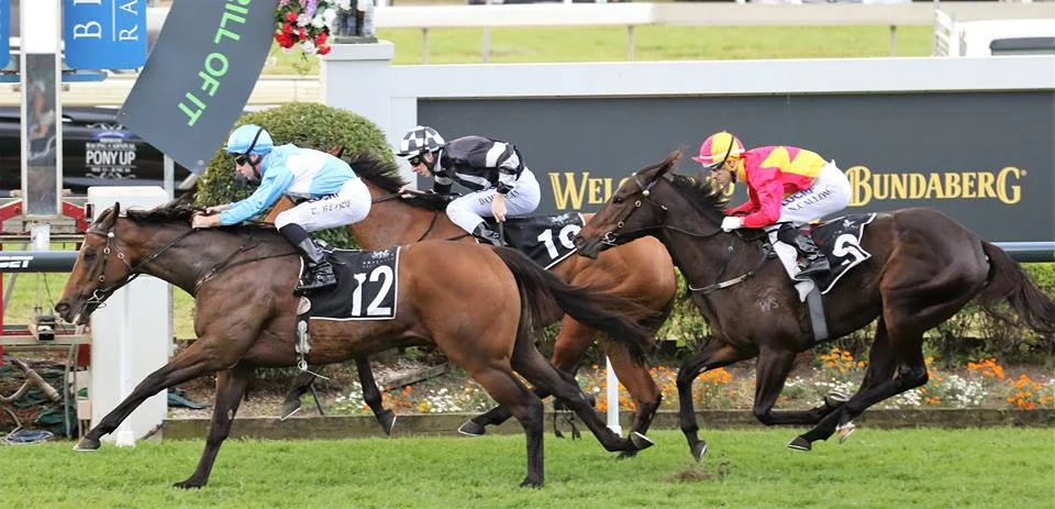 Prompt Response defeats My True Love in the Group 2 Dane Ripper Stakes last start