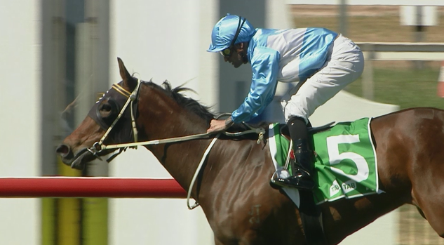 Legal Girl Kembla Grange September 17.png