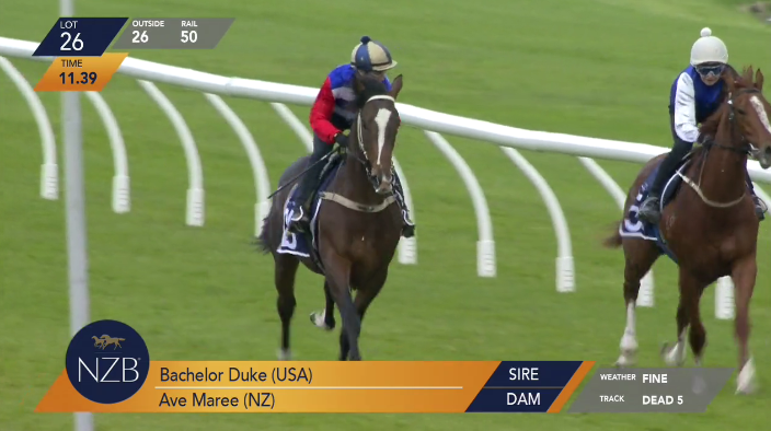 NZB R2R Lot 26 - BSB-GW-AB.png