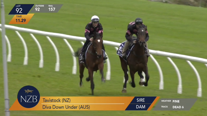 NZB R2R Lot 92 - BSB.png