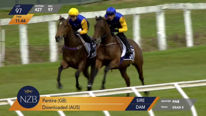 NZB R2R Lot 97 - BSB.png