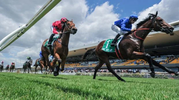 Secret Lady (pink) finishing second on her debut two weeks prior