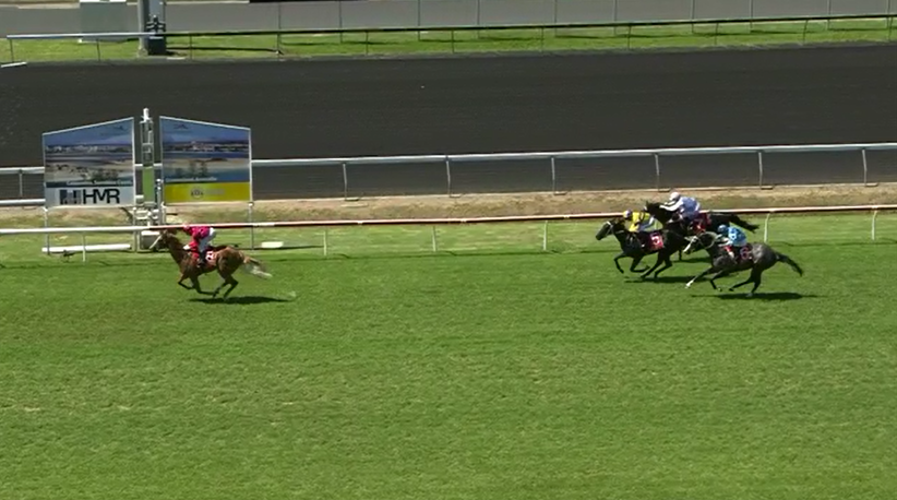 Singular Sensation, Sunshine Coast, Nov 5 2.png