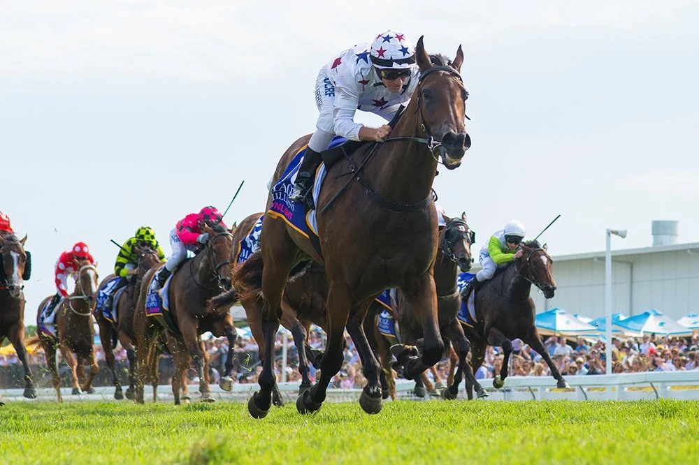 Sunlight, pictured winning the $2 million Magic Millions 2YO Classic (1200m)