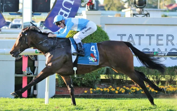 Overdue! Star Blue Sky mare PROMPT REPONSE finally gets her Group 1 for Gai Waterhouse & Adrian Bott, taking out the Group 1 Tatts Tiara during the Brisbane Winter Carnival