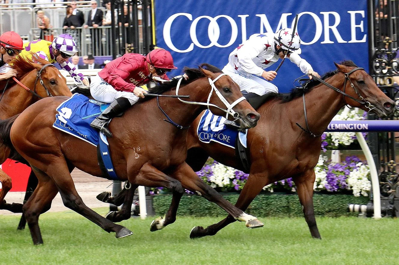 sunlight-triumphs---no-excuses-for-vanquished-colts-in-coolmore-stud-stakes.jpg