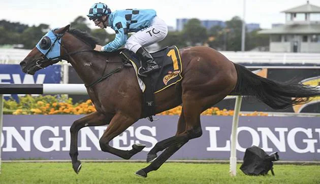 Bellevue Hill winning The Group 3 Scweppervecence Stakes at Randwick