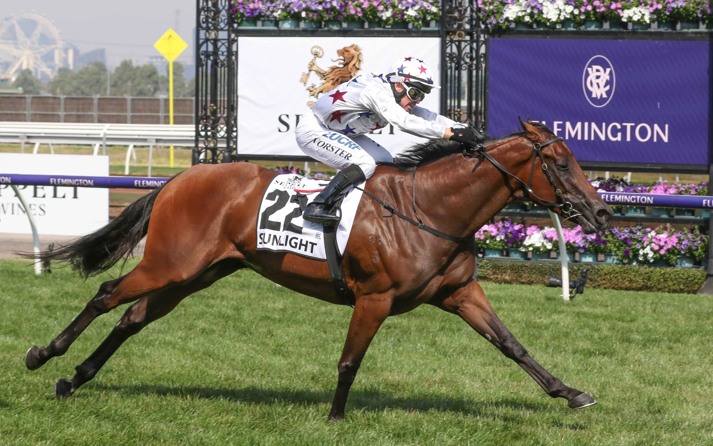 Sunlight,Newmarket Hdcp,Group 1_09-03-2019_WIN_Flemington_6__1112[96].jpg