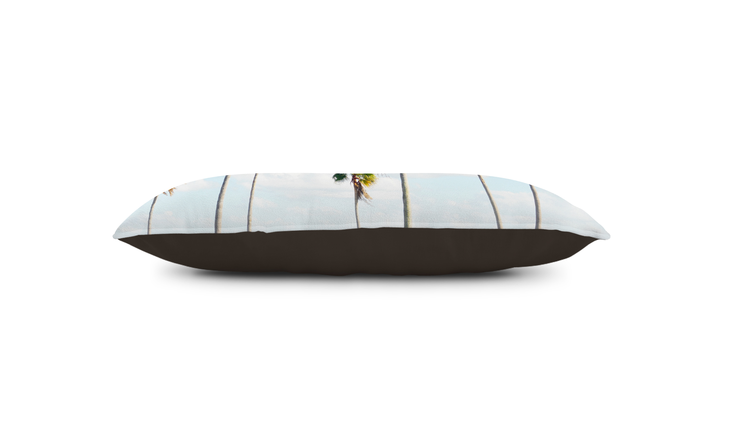 North Beach Palms - Pet Bed