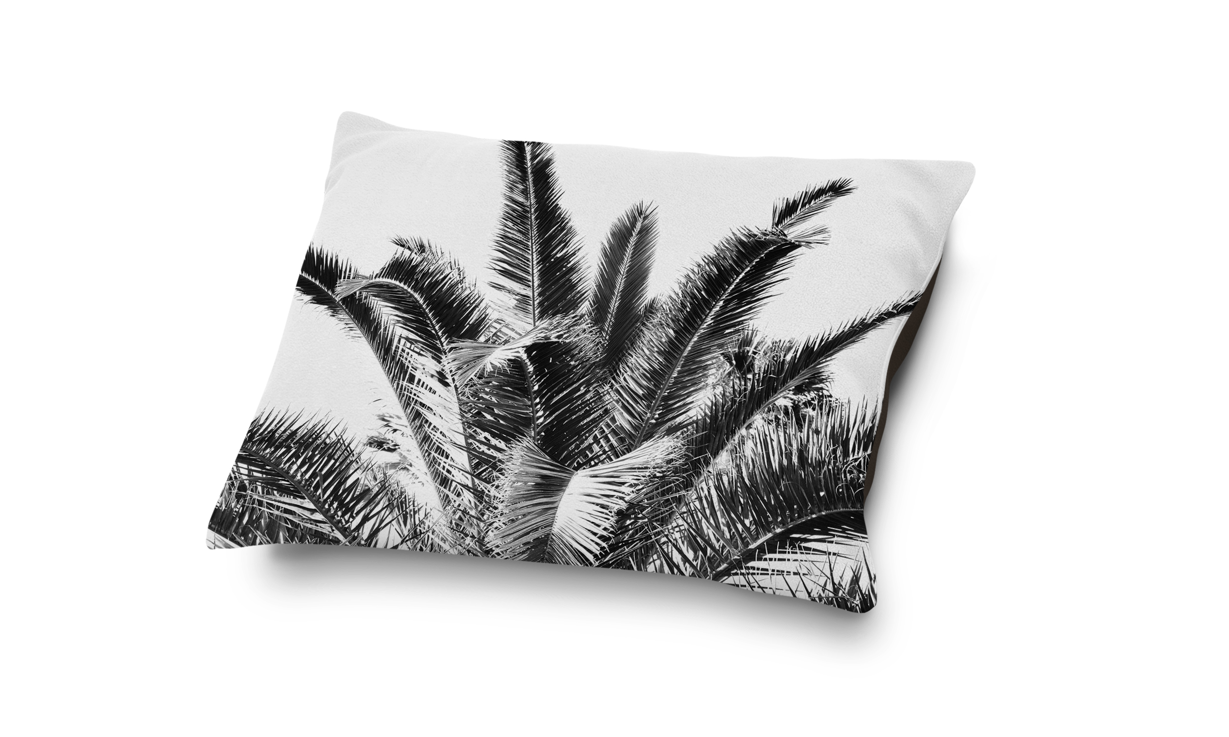 Black Summer Palms - Pet Bed