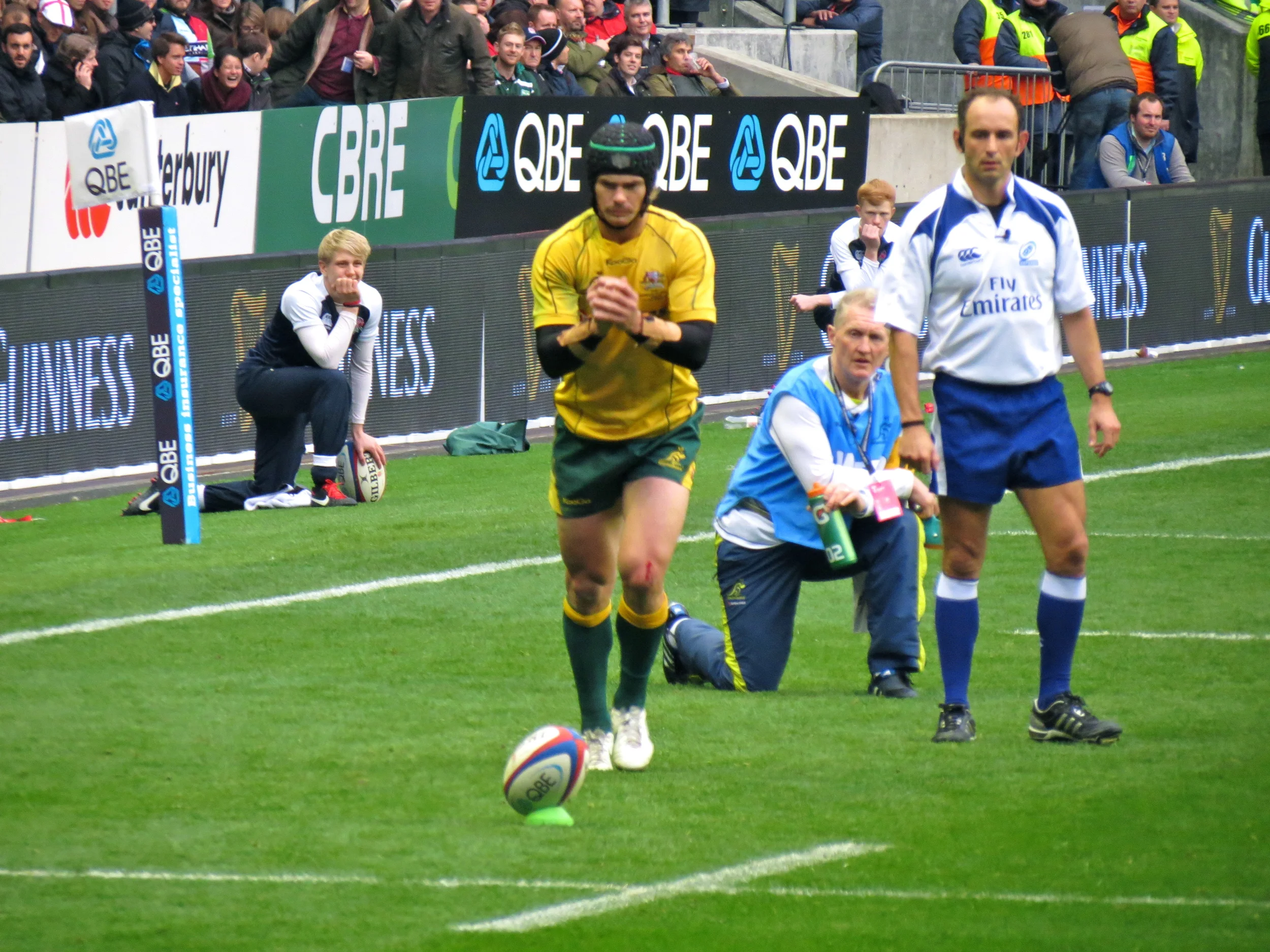 Wallabies.jpg