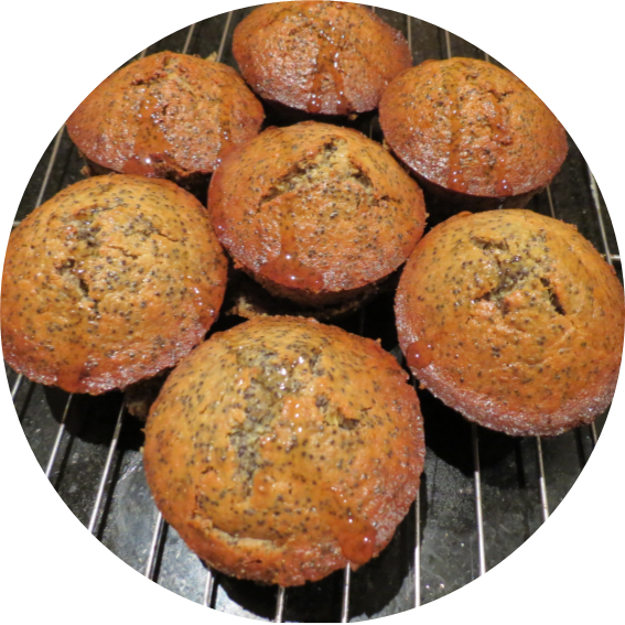 Muffins.png