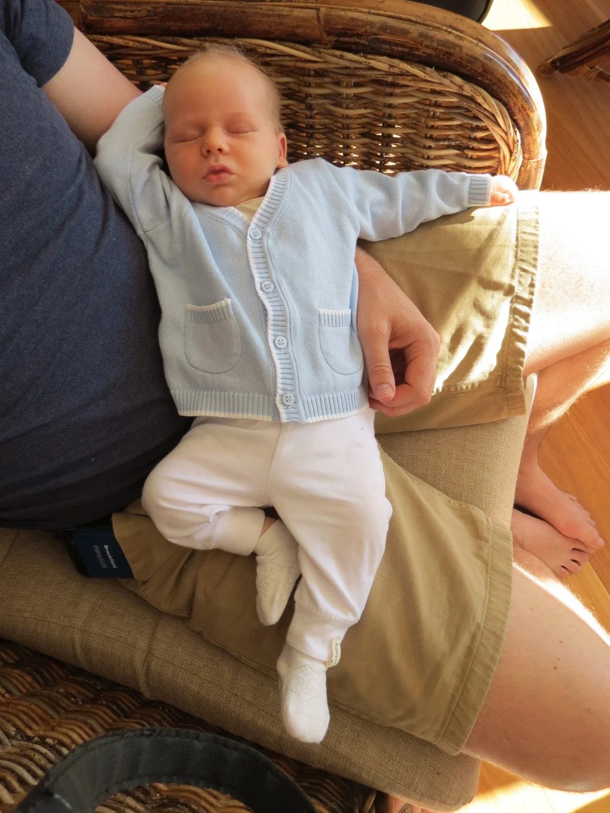 It looks like we have a bit of a poser on our hands... 
