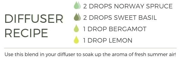 diffuser.jpg