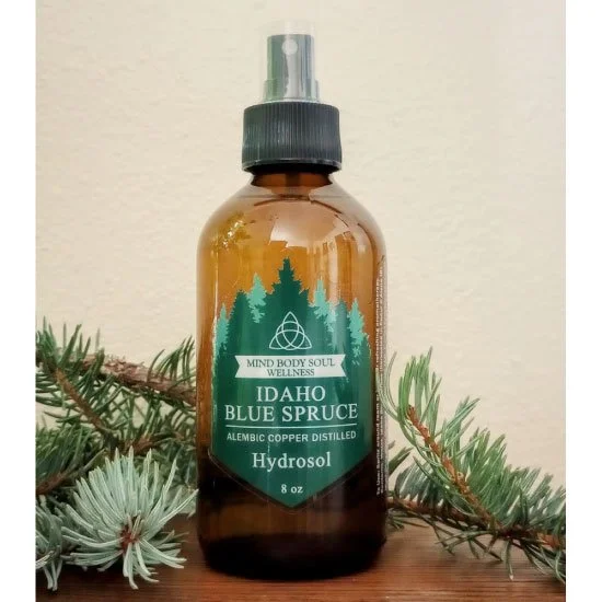 Blue_Spruce.jpg