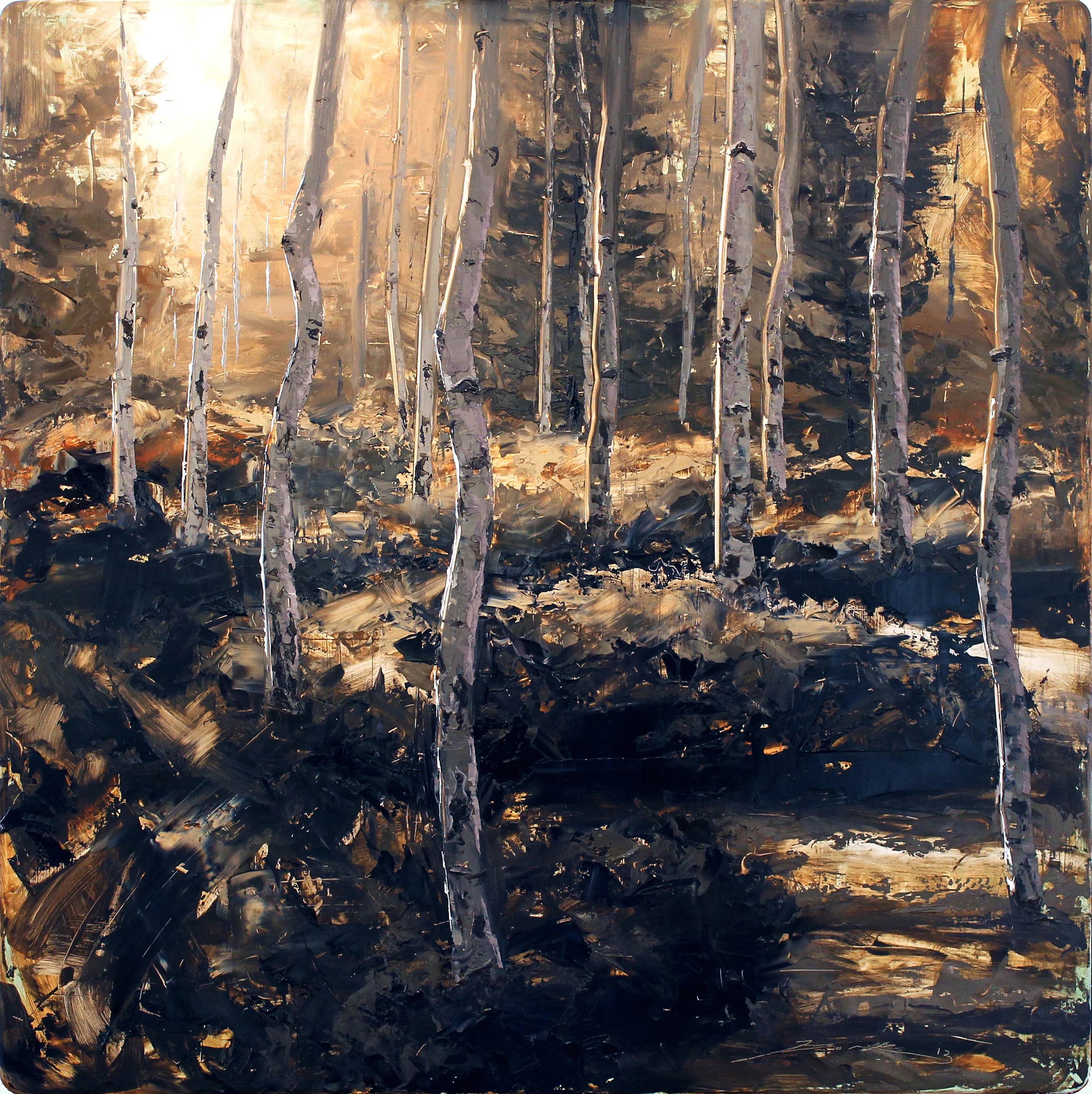 LightandShadow1.jpg