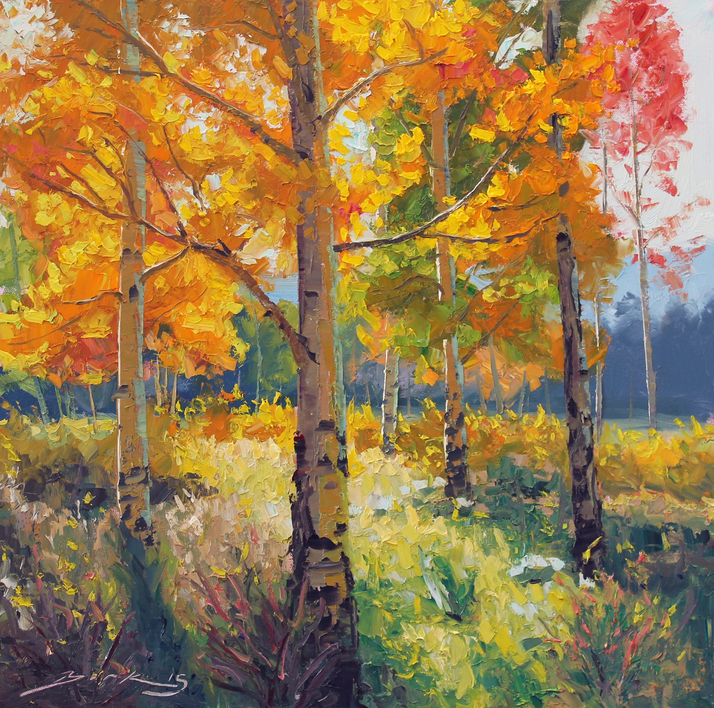 FieldofColor.jpg