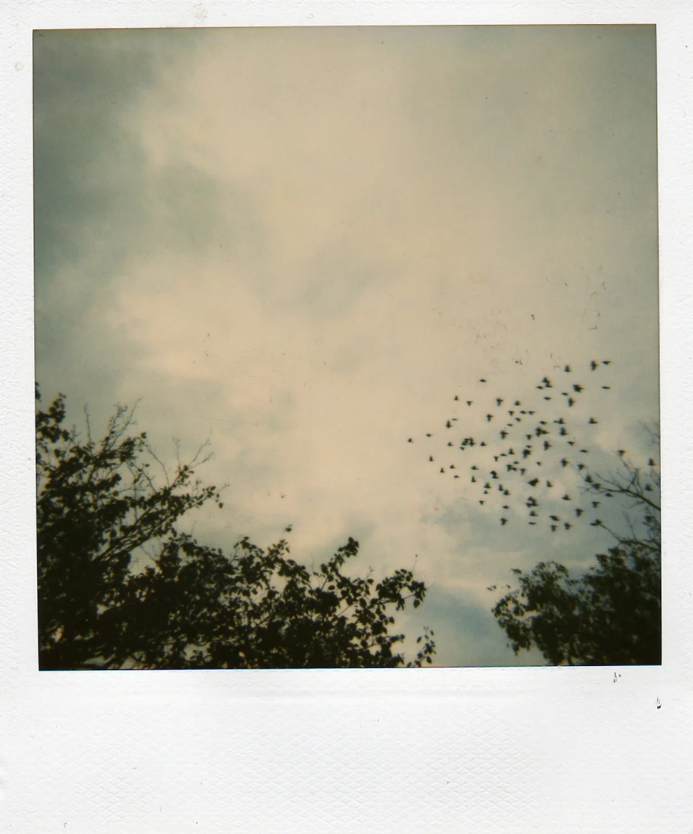 img107.jpg