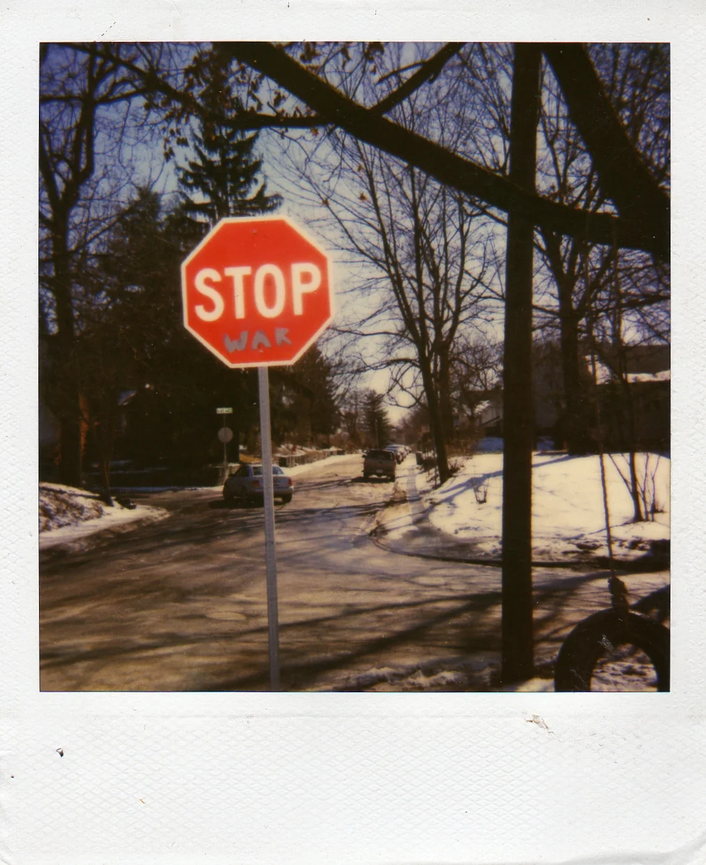img113.jpg