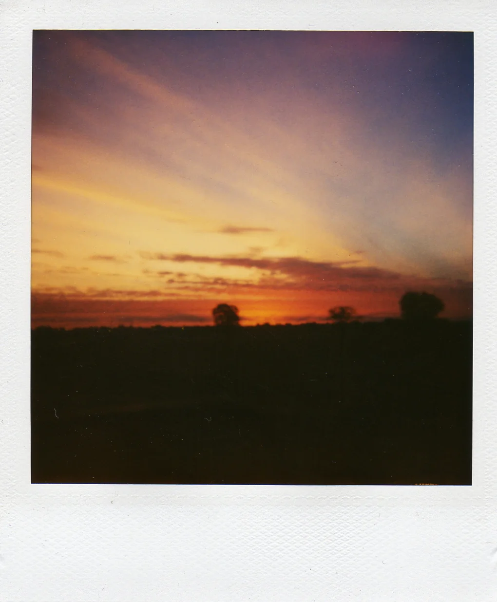 img126.jpg
